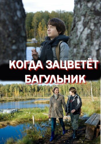 Когда зацветёт багульник (2010) постер